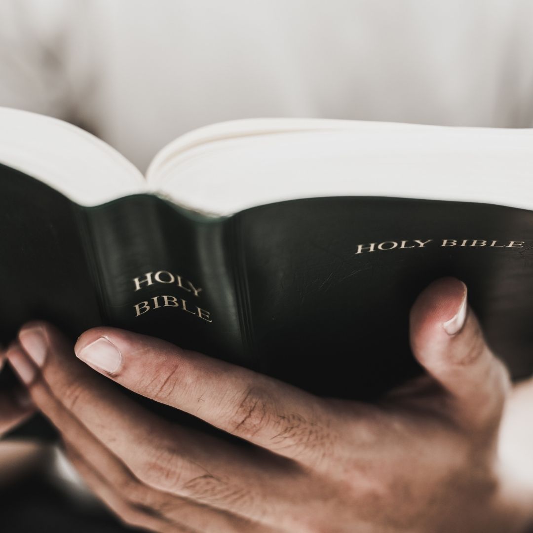hand holding Bible